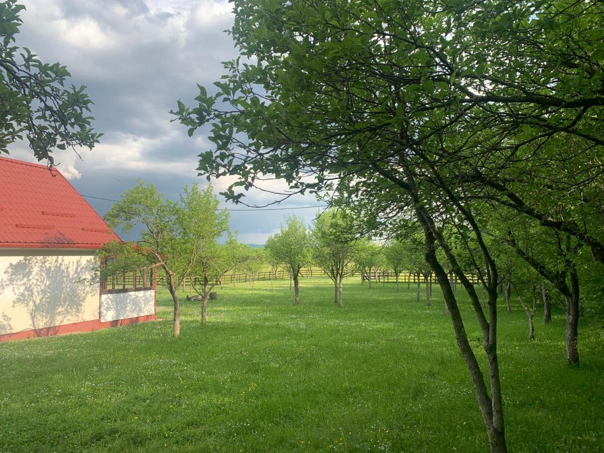 La Prairie Villa Korenica Buitenkant foto